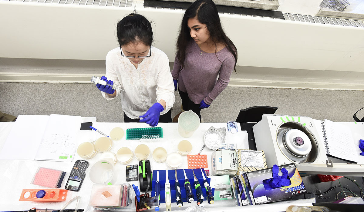 Student in biology lab